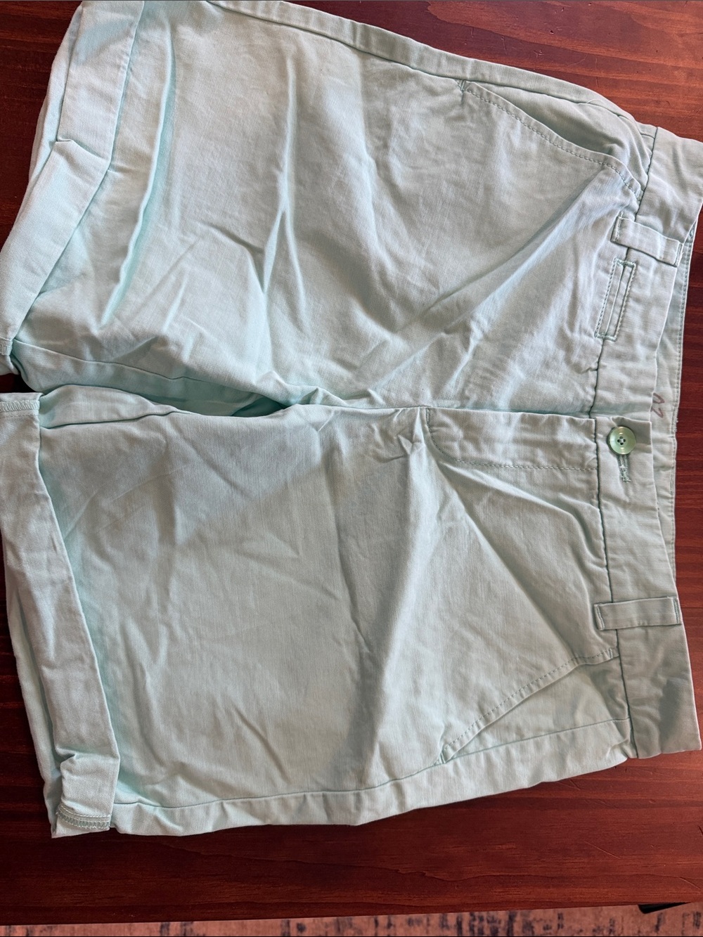 GAP Light Mint Green Casual Cotton Shorts